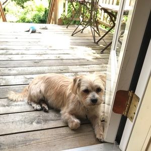 Meet your Posher, Robin